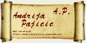 Andrija Pajičić vizit kartica